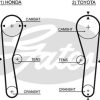 GATES 5027 - TRIGER KAYISI (094x190) TOYOTA HONDA COROLLA 1.6 16V (87 92) CIVIC 1.5 8V 74 78) CARINA FF 1.5 CT536