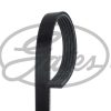 GATES 5PK683 - KANALLI KAYISI SUBARU IMPREZA 1.6 1.8 2.0 16V (93 06) LEGACY (89 93) MAZDA 626 BONGO 2.0D 8V (91 97)