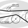 GATES 5614XS - TRIGER KAYISI (083x240) VW TOUAREG 3.0D 11 / 04 AUDI Q7 3.0TDI (06 08) A4 2.7 3.0TDI A6 A8 CT1094