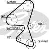 GATES 5589XS - EKSANTRIK KAYISI (135x254) 135 DIS C3 1,4 HDI 02 / 02=>SUZUKI LIANA 1,4 DDSI 04=> CT1104