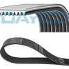 DAYCO 8PK1646HD - KANALLI KAYIS