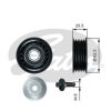 GATES T36736 - ALTERNATOR ( V KAYIS ) GERGI RULMANI FIAT EGEA 500L 500X BRAVO II 1.6 MJET 10> ALFA ROMEO GIULIETTA MITO 1.6 2.0 MJET 10> JEEP CHEROKEE 2.0 CRD 14>18 LANCIA DELTA III 1.6 2.0 MJET 08>14 SUZUKI VITARA 1.6 DDIS 14> SX-4 S-CROSS 1.6 DDIS 13>