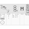 MAHLE 0400401 - MOTOR PISTON SEGMAN P307 P206 PARTNER II BERLINGO II C3 C4 TU5JP4 (1,6 16V) 79,00MM (0,50 FARKLI)