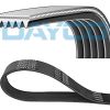 DAYCO 5PK1585 - KANALLI KAYIS BRAVA BRAVO 1,2 16V 98 01