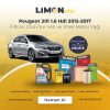 Peugeot 301 1.6 Hdi 2012-2017 3'lü Filtron Filtre Seti ve Shell Motor Yağı